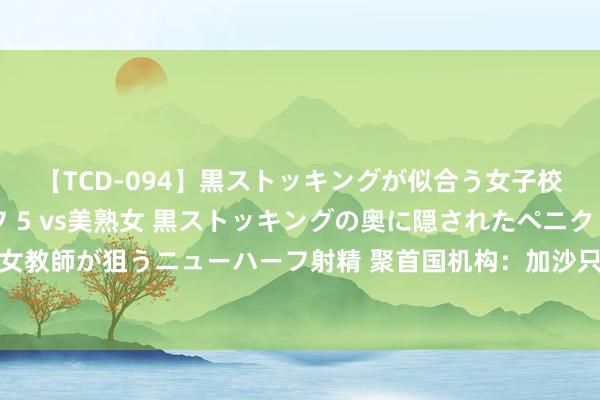 【TCD-094】黒ストッキングが似合う女子校生は美脚ニューハーフ 5 vs美熟女 黒ストッキングの奥に隠されたペニクリを痴女教師が狙うニューハーフ射精 聚首国机构：加沙只好14%的区域未受过以军除去令影响