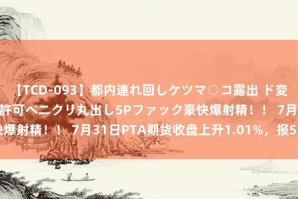 【TCD-093】都内連れ回しケツマ○コ露出 ド変態ニューハーフ野外で無許可ペニクリ丸出し5Pファック豪快爆射精！！ 7月31日PTA期货收盘上升1.01%，报5776元