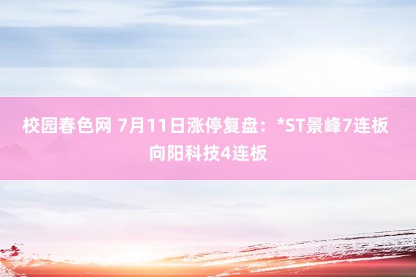 校园春色网 7月11日涨停复盘：*ST景峰7连板 向阳科技4连板