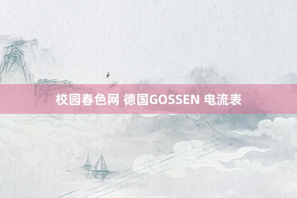 校园春色网 德国GOSSEN 电流表