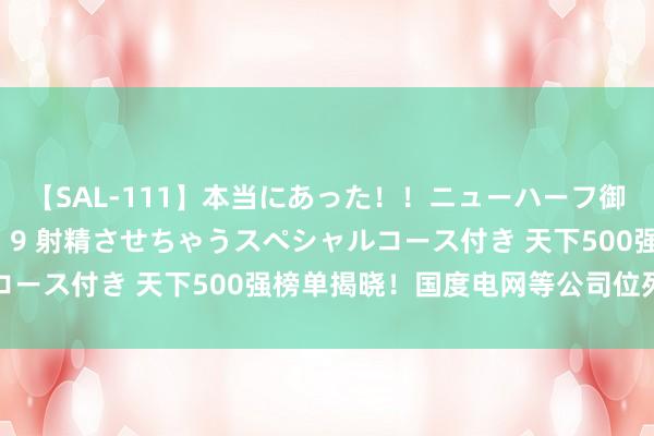 【SAL-111】本当にあった！！ニューハーフ御用達 性感エステサロン 9 射精させちゃうスペシャルコース付き 天下500强榜单揭晓！国度电网等公司位列前十