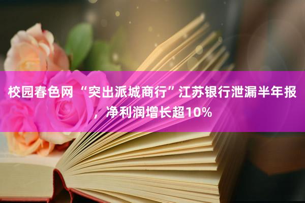 校园春色网 “突出派城商行”江苏银行泄漏半年报，净利润增长超10%