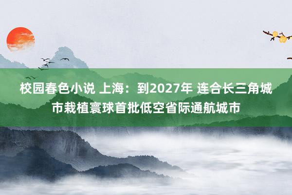 校园春色小说 上海：到2027年 连合长三角城市栽植寰球首批低空省际通航城市