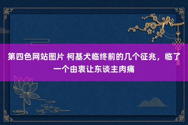 第四色网站图片 柯基犬临终前的几个征兆，临了一个由衷让东谈主肉痛