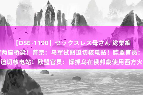 【DSE-1190】セックスレス母さん 総集編 乌称在库尔斯克毁坏俄军两座桥梁！普京：乌军试图迫切核电站！欧盟官员：撑抓乌在俄邦畿使用西方火器