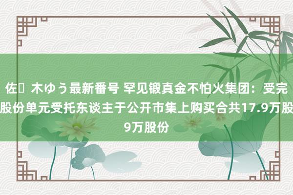 佐々木ゆう最新番号 罕见锻真金不怕火集团：受完了股份单元受托东谈主于公开市集上购买合共17.9万股份