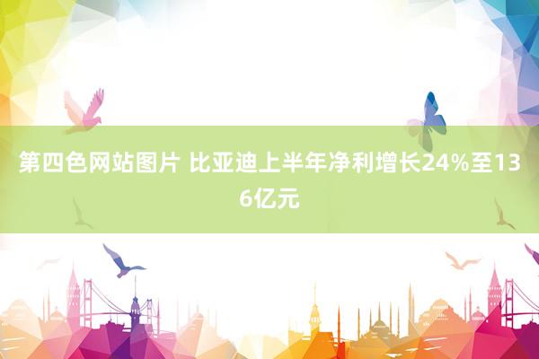 第四色网站图片 比亚迪上半年净利增长24%至136亿元