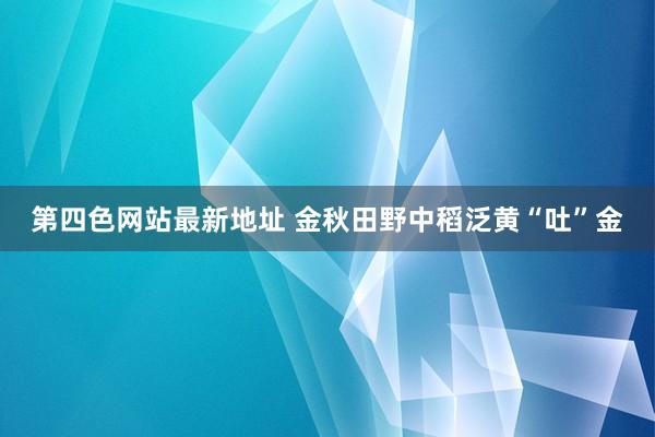 第四色网站最新地址 金秋田野中稻泛黄“吐”金