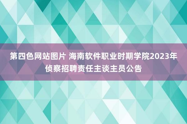 第四色网站图片 海南软件职业时期学院2023年侦察招聘责任主谈主员公告